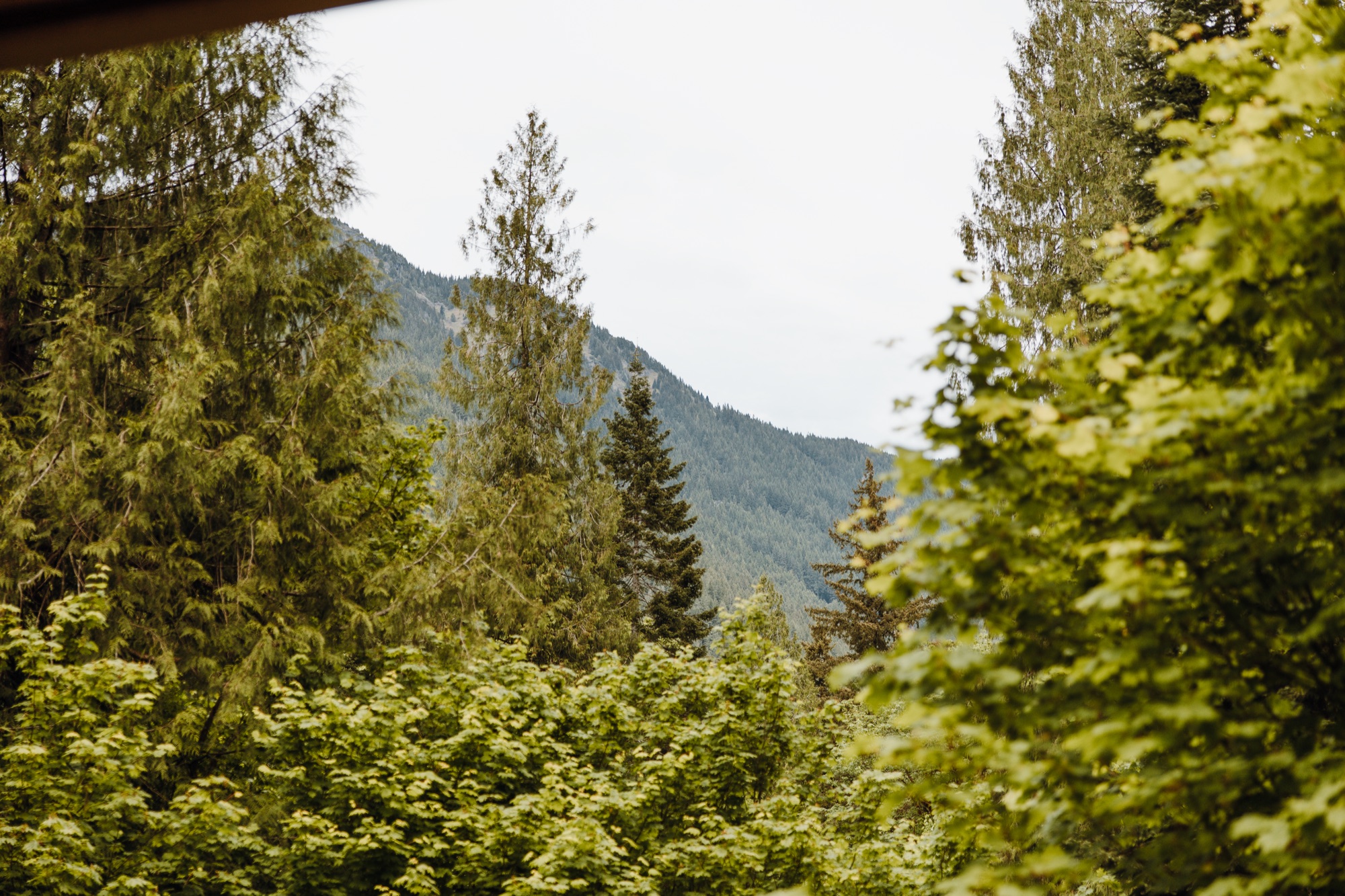 Cabin photo